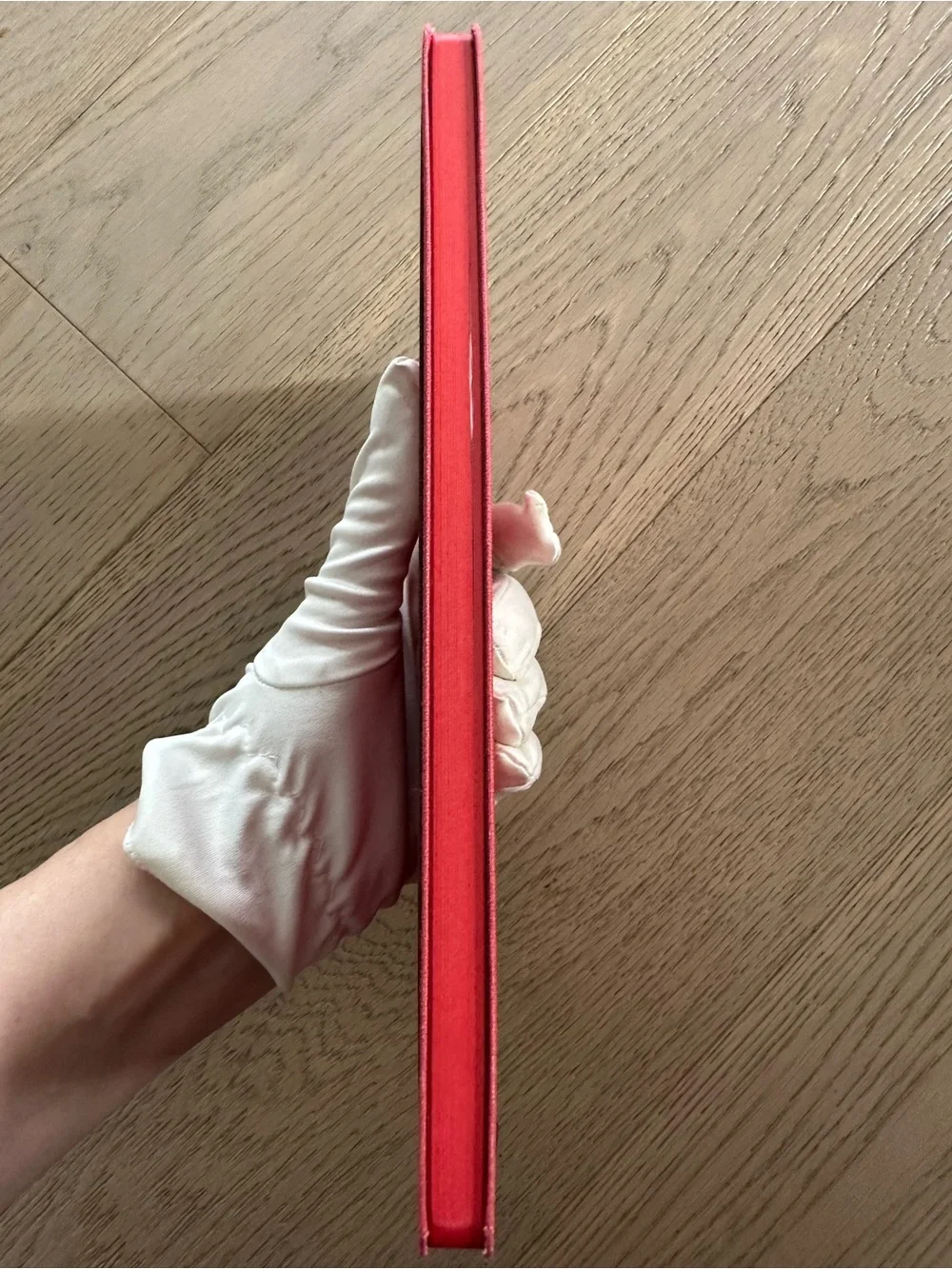 Louis Vuitton Jane MM Pink Canvas Notebook Journal